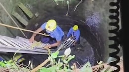 Man Killed By Third Wife. Her Sister, Who Was His Second Wife, Found Body