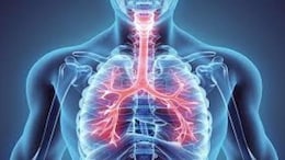 World Lung Day 2025: Are Your Lungs Ageing Faster Than You? These Tests Can Help You Determine