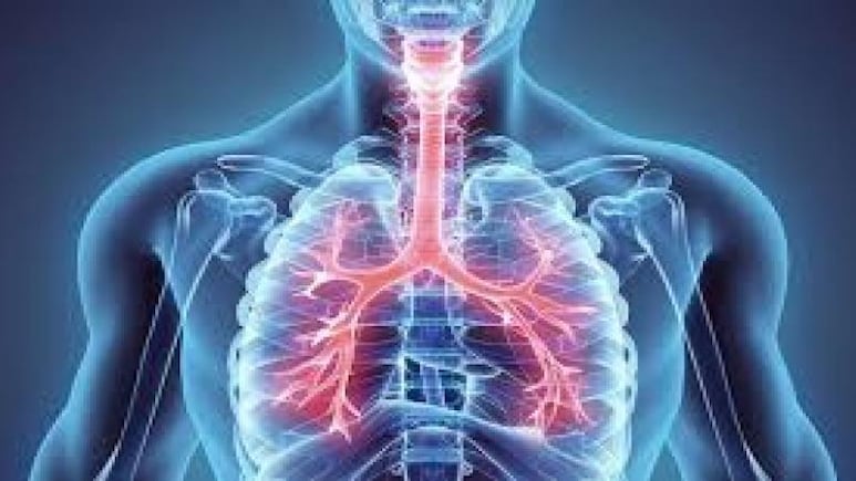 World Lung Day 2025: Are Your Lungs Ageing Faster Than You? These Tests Can Help You Determine