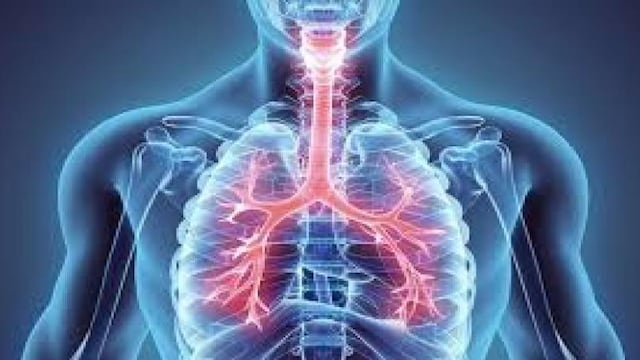 Elevated glucose levels may also create an environment that allows certain bacteria to thrive.