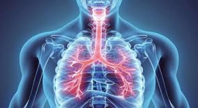 Air pollution is now emerging as a key risk factor for lung cancer