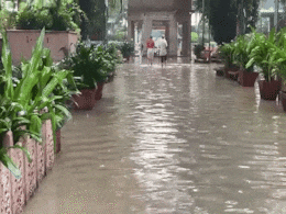 VIDEO: जहां जलती थीं चिताएं, वहां सैलाब... अपनों को आखिरी विदाई देना मुश्किल, देखें निगम बोध घाट का हाल VIDEO: जहां जलती थीं चिताएं, वहां सैलाब... अपनों को आखिरी विदाई देना मुश्किल, देखें निगम बोध घाट का हाल