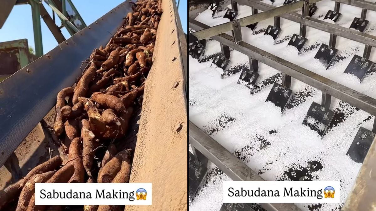Watch: Viral Video Shows How Sabudana Is Made In A Factory From Scratch