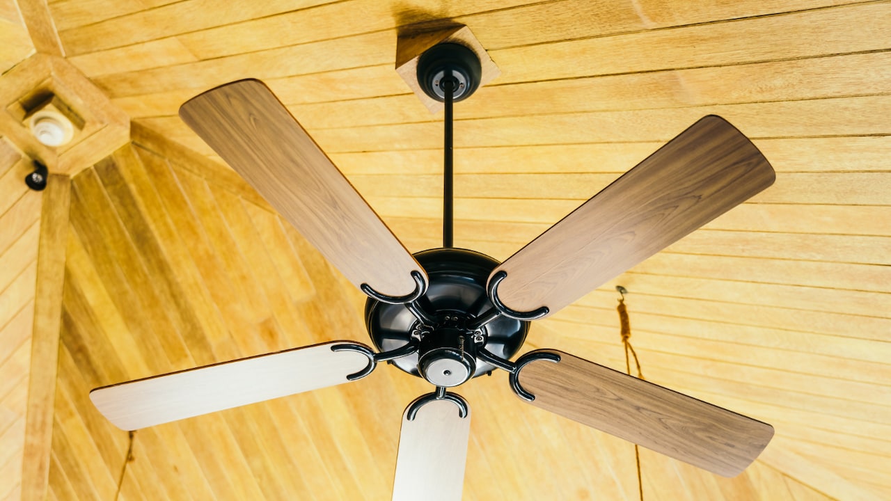 5 reasons that make ceiling fans a must-have in every household