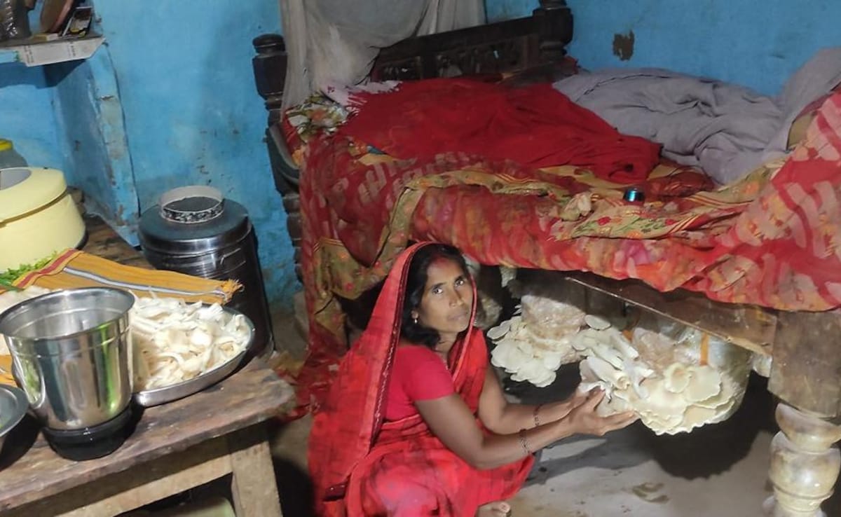 Meet Bihar's 'Mushroom Lady' Bina Devi, Who Is Now Empowering 70,000 Rural Women