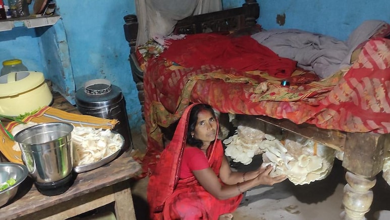 Meet Bihar's 'Mushroom Lady' Bina Devi, Who Is Now Empowering 70,000 Rural Women Meet Bihar's 'Mushroom Lady' Bina Devi, Who Is Now Empowering 70,000 Rural Women