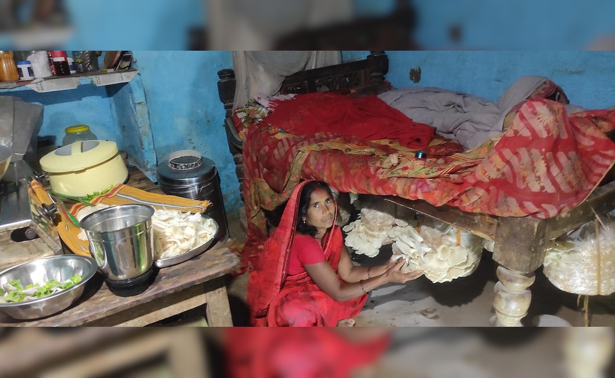 Bihar's 'Mushroom Lady' Empowers Rural Women Through Innovation