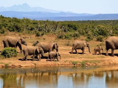 7 Safari Parks Around The World That Will Give You The 'Adventure Of A Lifetime'