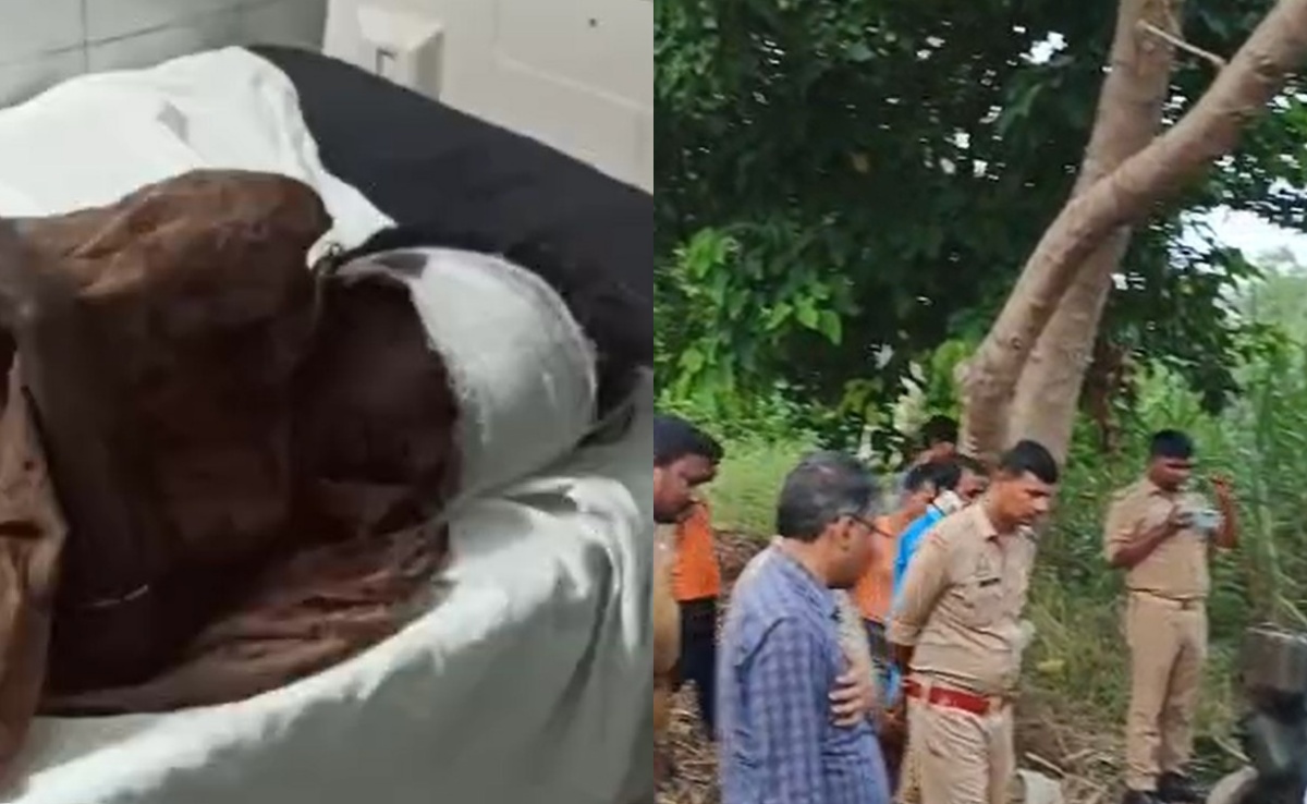 दूध पिला रही मां की गोद से ले गया बच्‍ची, बुजुर्ग पर भी हमला... बहराइच में आदमखोर भेड़िए का आतंक