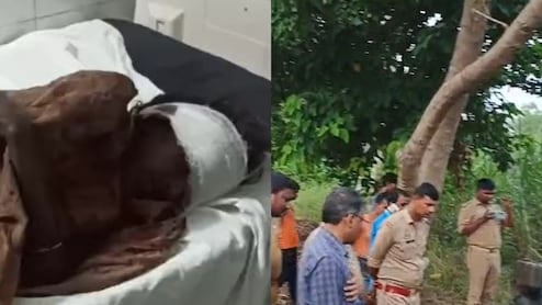 बहराइच में जंगली जानवर का आतंक, सप्‍ताह भर बाद भी खाली हाथ वन विभाग, घर से निकलने से भी डर रहे लोग