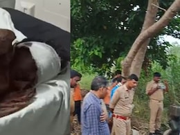 बहराइच में जंगली जानवर का आतंक, सप्ताह भर बाद भी खाली हाथ वन विभाग, घर से निकलने से भी डर रहे लोग बहराइच में जंगली जानवर का आतंक, सप्ताह भर बाद भी खाली हाथ वन विभाग, घर से निकलने से भी डर रहे लोग
