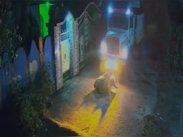 ड्राइवर ने ट्रक धीमा किया, निशाना लिया और फिर गौवंश को कुचल दिया... सिर्फ पशु नहीं इंसानियत भी मर गई ड्राइवर ने ट्रक धीमा किया, निशाना लिया और फिर गौवंश को कुचल दिया... सिर्फ पशु नहीं इंसानियत भी मर गई