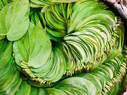Betel Leaves Benefits: दात घासण्यापूर्वी विड्याचे पान खाल्ल्यास काय होईल? माहिती वाचून म्हणाल OMG Betel Leaves Benefits: दात घासण्यापूर्वी विड्याचे पान खाल्ल्यास काय होईल? माहिती वाचून म्हणाल OMG