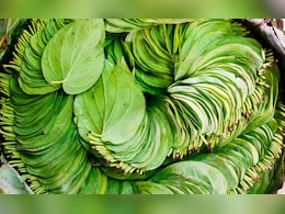 अमृत के समान है 5 रुपये का ये पत्ता, सालों-साल जवान रहेगा शरीर, एक्सपर्ट ने बताया खाने का सही तरीका अमृत के समान है 5 रुपये का ये पत्ता, सालों-साल जवान रहेगा शरीर, एक्सपर्ट ने बताया खाने का सही तरीका