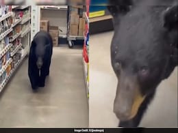 Watch: US Man Guides Wandering Bear Out Of Store, Internet Hails Him As Hero Watch: US Man Guides Wandering Bear Out Of Store, Internet Hails Him As Hero