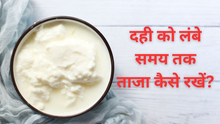 दही को बिना फ्रिज के लंबे समय तक स्टोर करने की 5 आसान ट्रिक, बस आपको करना होगा ये काम
