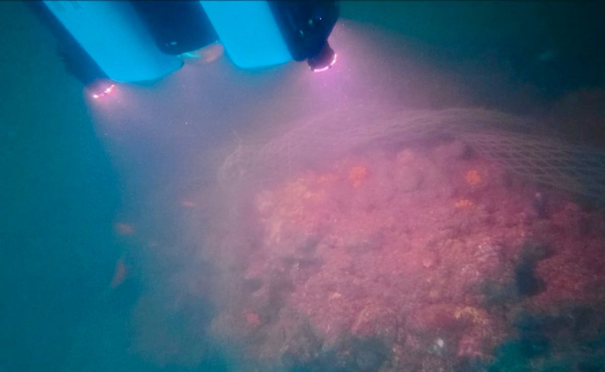 "Let's Reveal Poompuhar's Pride": Tamil Nadu Begins Undersea Excavation In Early Chola Capital