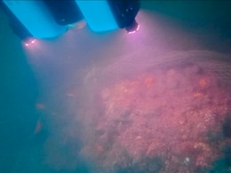 "Let's Reveal Poompuhar's Pride": Tamil Nadu Begins Undersea Excavation In Early Chola Capital