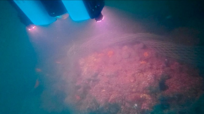 "Let's Reveal Poompuhar's Pride": Tamil Nadu Begins Undersea Excavation In Early Chola Capital