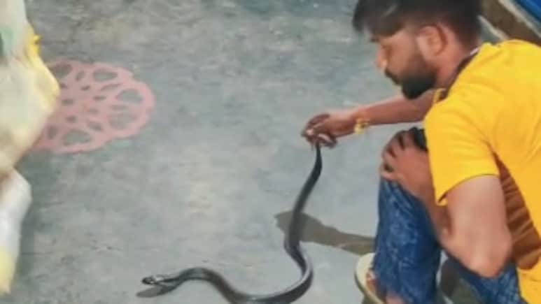 UP Man Dies Of Snakebite While Filming Video
