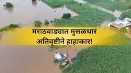Marathwada Rain: मराठवाड्यात जलप्रलय! चौघांचा मृ्त्यू, 72 जनावरे दगावली; शेतीचे मोठे नुकसान