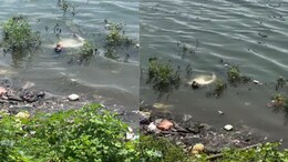 पानी में तैरती दिखी युवक की बॉडी... शव समझकर गोताखोर को बुलाया फिर जो हुआ उसे देख पुलिस भी चौंक पड़ी