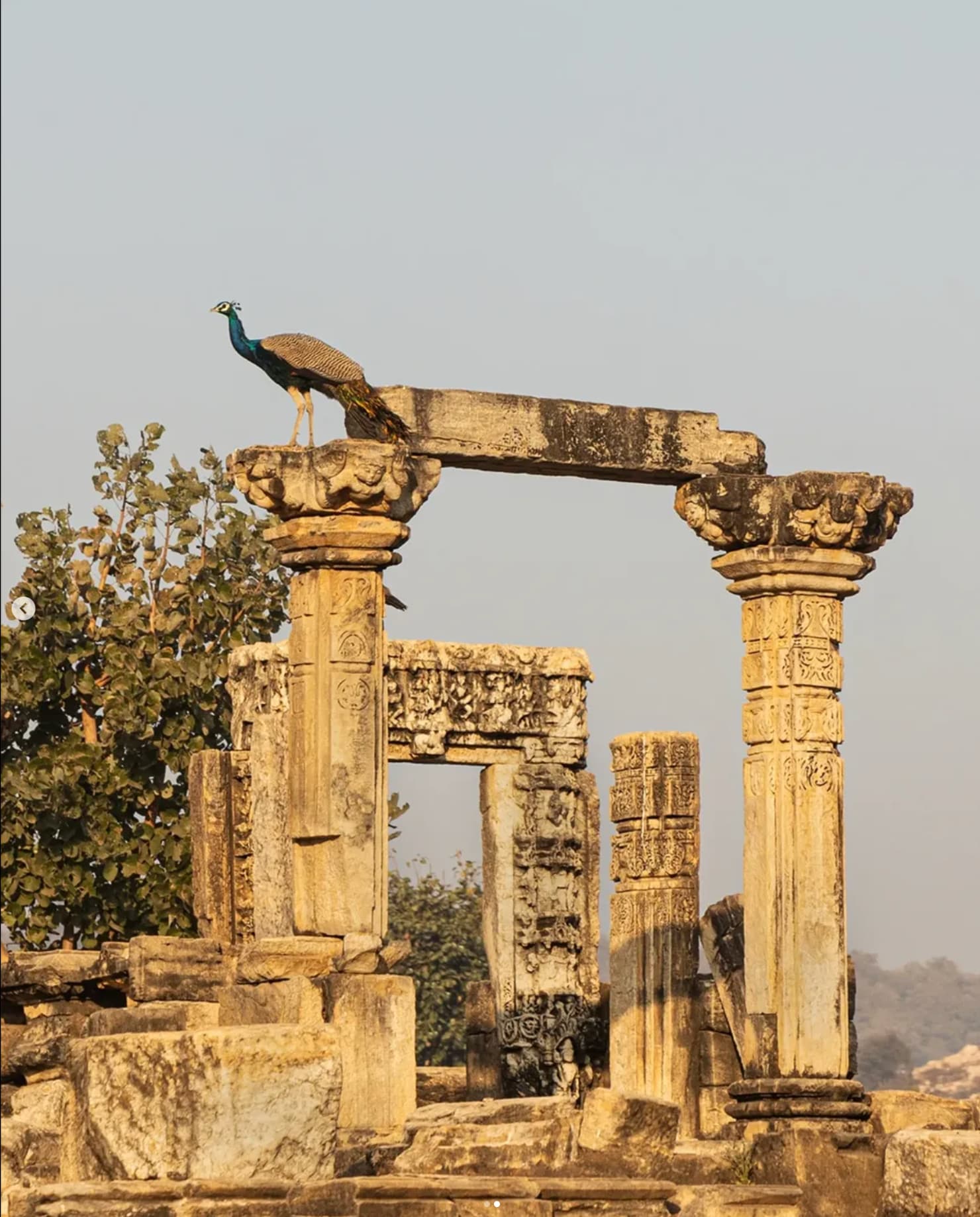 The ruins at Neelkanth Temple Complex. Photo: Sariska Lodge The ruins at Neelkanth Temple Complex. Photo: Sariska Lodge