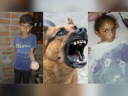 Rajasthan: पागल कुत्ते ने बच्ची के चेहरे पर काटा, बड़े भाई ने बचाई छोटी बहन की जान, काटने के बाद कुत्ते की मौत Rajasthan: पागल कुत्ते ने बच्ची के चेहरे पर काटा, बड़े भाई ने बचाई छोटी बहन की जान, काटने के बाद कुत्ते की मौत