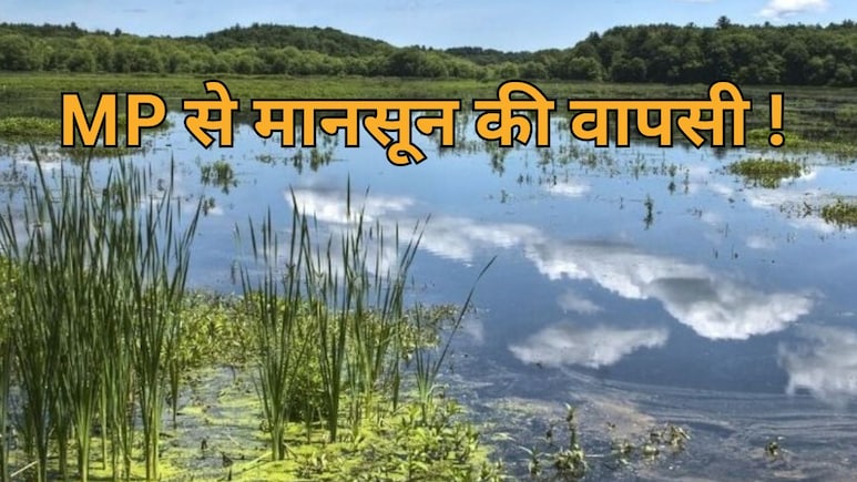 MP Monsoon Returns: मध्य प्रदेश के 12 जिलों से मानसून ने ली विदाई, दशहरे पर इन जिलों में होगी बारिश