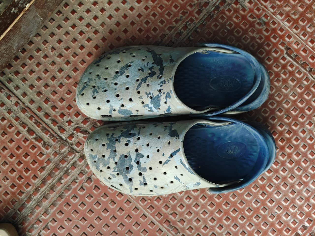 Bengaluru Techie, 41, Dies After Being Bitten By Snake Hiding In Footwear