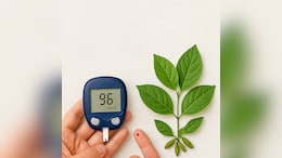 Can Diabetes Be Reversed? The Role of Gymnema Sylvestre In Managing Blood Sugar