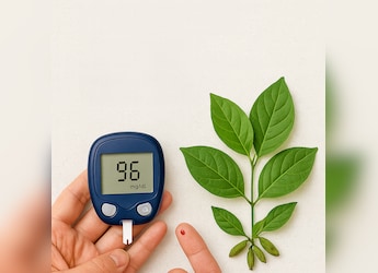 Can Diabetes Be Reversed? The Role of Gymnema Sylvestre In Managing Blood Sugar