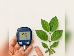 Can Diabetes Be Reversed? The Role of Gymnema Sylvestre In Managing Blood Sugar Can Diabetes Be Reversed? The Role of Gymnema Sylvestre In Managing Blood Sugar