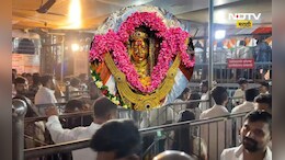 Navratri 2025: ठाकरेंचं कुलदैवत, आगरी-कोळ्यांचे श्रद्धास्थान, कार्ल्याच्या एकवीरा देवीचा नवरात्रौत्सव कसा असतो
