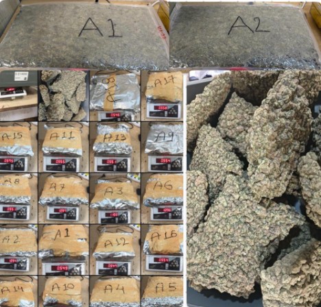 मुंबई एयरपोर्ट पर कस्टम विभाग की बड़ी कार्रवाई, 13.83 करोड़ की ड्रग्स जब्त, 2 यात्री गिरफ्तार