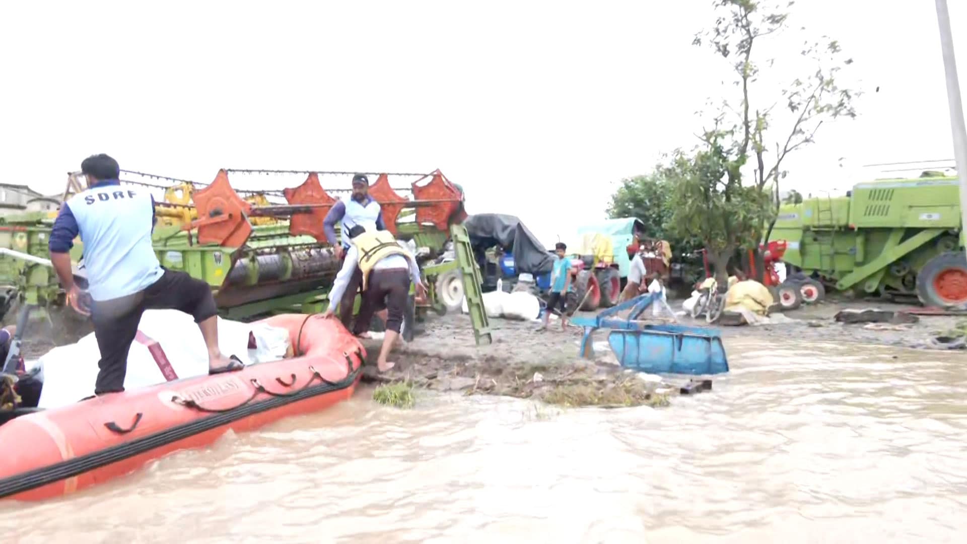 Video: Punjab Flood Crisis: 2.56 Lakh Displaced, 29 Dead As Torrential Rains Ravage 12 Districts