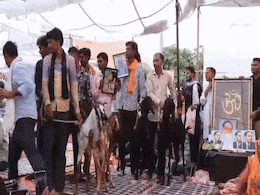 Rajasthan: कल मारे थे थप्पड़, आज नरेश मीणा ने समर्थकों को मारी लातें, आखिर उनको इतना गुस्सा क्यों आता है ?   Rajasthan: कल मारे थे थप्पड़, आज नरेश मीणा ने समर्थकों को मारी लातें, आखिर उनको इतना गुस्सा क्यों आता है ?
