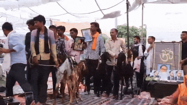 Rajasthan: कल मारे थे थप्पड़, आज नरेश मीणा ने समर्थकों को मारी लातें, आखिर उनको इतना गुस्सा क्यों आता है ? Rajasthan: कल मारे थे थप्पड़, आज नरेश मीणा ने समर्थकों को मारी लातें, आखिर उनको इतना गुस्सा क्यों आता है ?