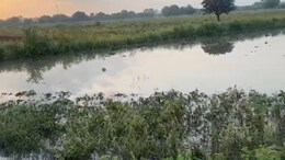 Maharashtra Rain: राज्यात पावसाचा हाहाकार; 24 तासांत 6 बळी, 4,000 लोकांचे सुरक्षित स्थळी स्थलांतर