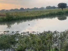 Maharashtra Rain: राज्यात पावसाचा हाहाकार; 24 तासांत 6 बळी, 4,000 लोकांचे सुरक्षित स्थळी स्थलांतर