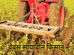 Soybean Crops: नाराज किसानों ने खड़ी फसल पर चलाया ट्रैक्टर, सरकार और बीमा कंपनियों पर लगाया ये गंभीर आरोप Soybean Crops: नाराज किसानों ने खड़ी फसल पर चलाया ट्रैक्टर, सरकार और बीमा कंपनियों पर लगाया ये गंभीर आरोप