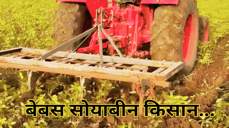 Soybean Crops: नाराज किसानों ने खड़ी फसल पर चलाया ट्रैक्टर, सरकार और बीमा कंपनियों पर लगाया ये गंभीर आरोप Soybean Crops: नाराज किसानों ने खड़ी फसल पर चलाया ट्रैक्टर, सरकार और बीमा कंपनियों पर लगाया ये गंभीर आरोप