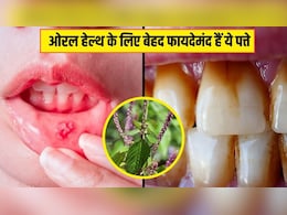 मुंह के छालों को एक ही बार में ठीक कर सकते हैं ये पत्ते, आयुर्वेदिक डॉक्टर ने बताया दांतों का पीलापन भी हो जाएगा साफ, जानिए इस्तेमाल का तरीका मुंह के छालों को एक ही बार में ठीक कर सकते हैं ये पत्ते, आयुर्वेदिक डॉक्टर ने बताया दांतों का पीलापन भी हो जाएगा साफ, जानिए इस्तेमाल का तरीका