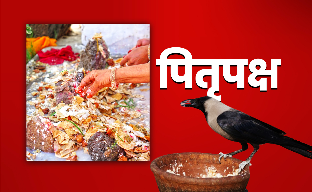 Pitra Paksha 2025: कौवे के बगैर क्यों अधूरा माना जाता है श्राद्ध, जानें पितरों से इसका क्या कनेक्शन है