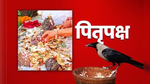 Pitra Paksha 2025: कौवे के बगैर क्यों अधूरा माना जाता है श्राद्ध, जानें पितरों से इसका क्या कनेक्शन है