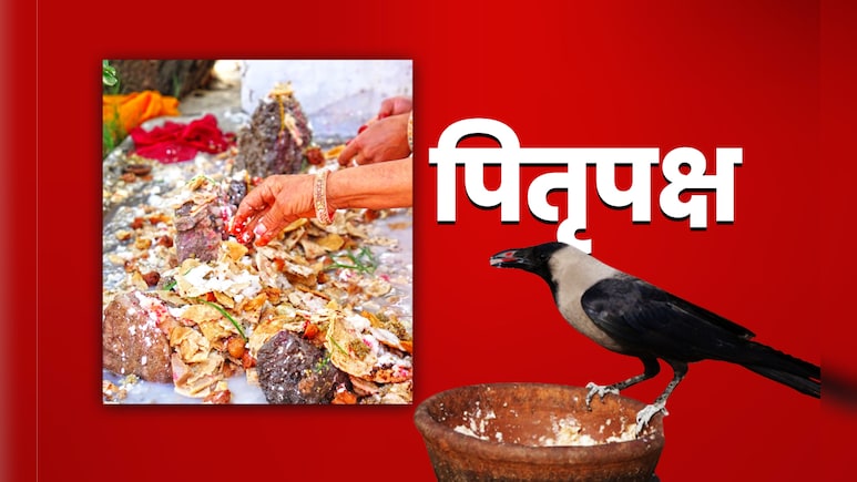 Pitra Paksha 2025: कौवे के बगैर क्यों अधूरा माना जाता है श्राद्ध, जानें पितरों से इसका क्या कनेक्शन है