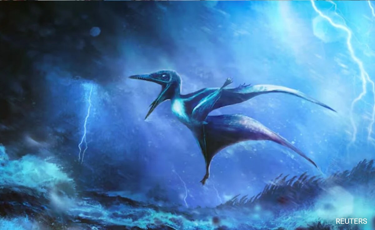 Storms Doomed Baby Pterosaurs, Fossils Reveal