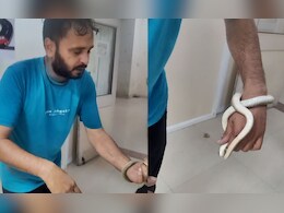 सांप ने काटा तो उसे पकड़कर अस्पताल पहुंचा युवक, डॉक्टर से इलाज करने को कहा सांप ने काटा तो उसे पकड़कर अस्पताल पहुंचा युवक, डॉक्टर से इलाज करने को कहा