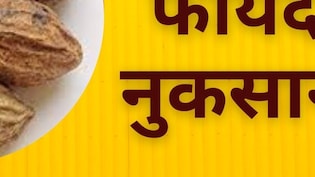 सेहत का अमृत है हरड़ (Haritaki), कब्ज, बवासीर, वजन घटाने में कमाल, जानें रोजाना हरड़ खाने के फायदे और नुकसान