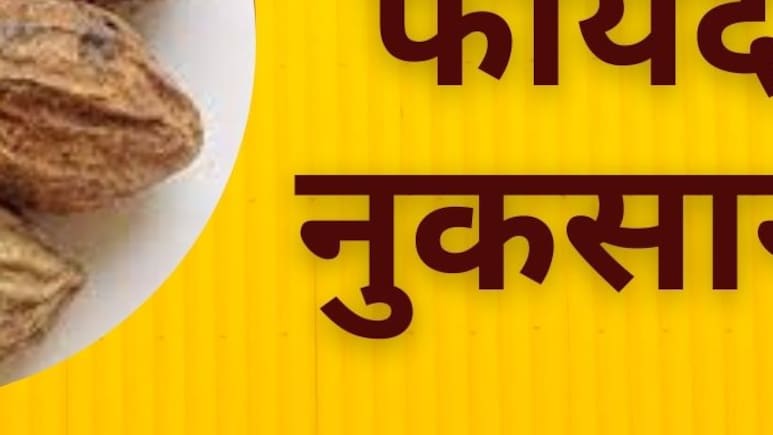 सेहत का अमृत है हरड़ (Haritaki), कब्ज, बवासीर, वजन घटाने में कमाल, जानें रोजाना हरड़ खाने के फायदे और नुकसान